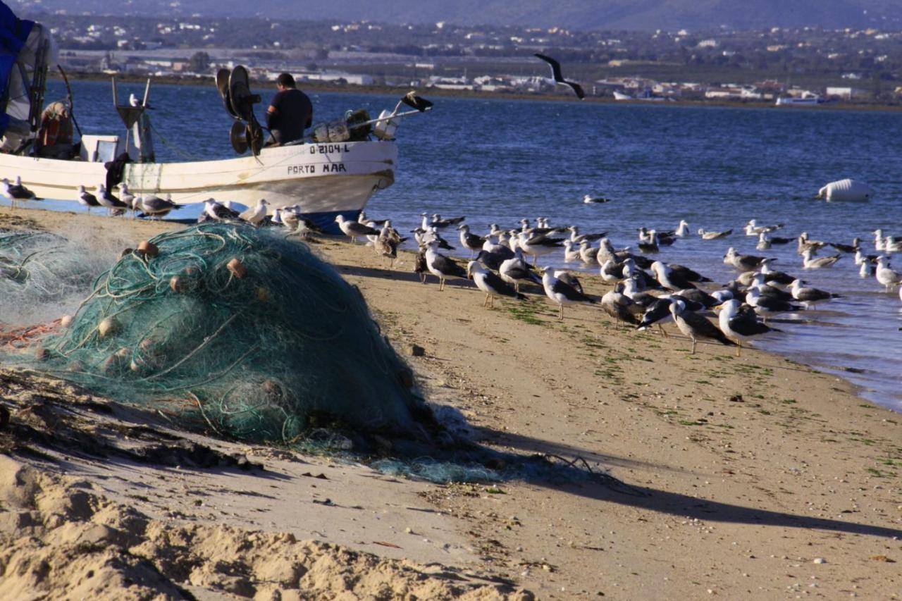 Ferienwohnung Dans Les Nuages Armação de Pêra Exterior foto